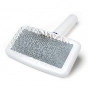 Pet cleaning