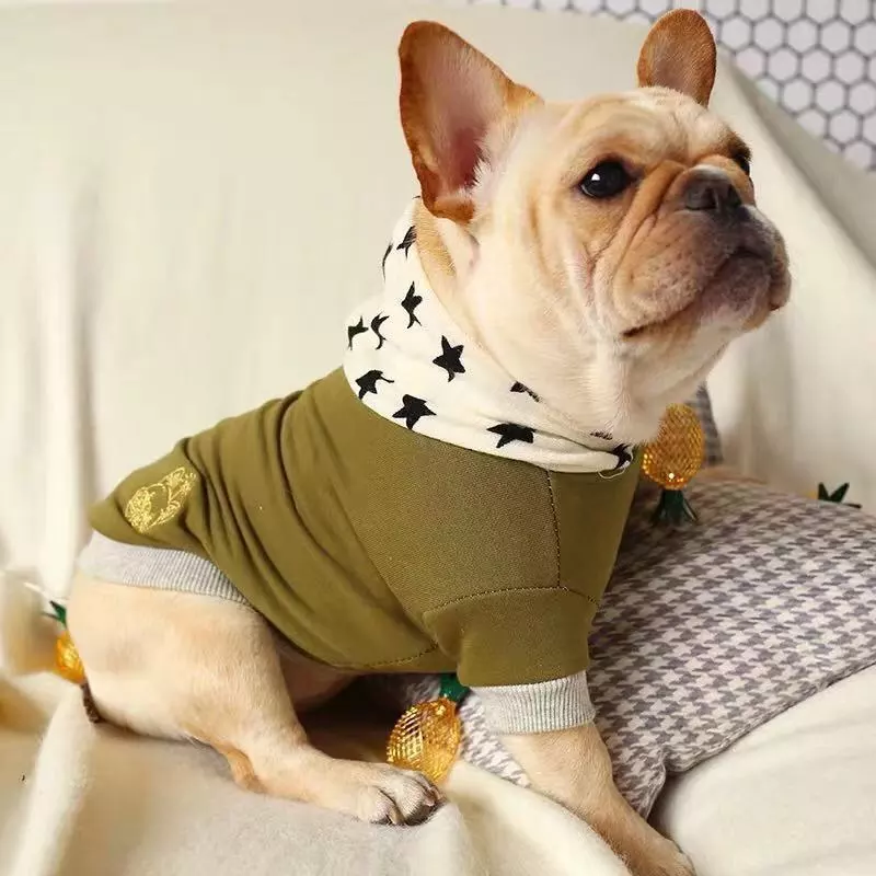 French Bulldog Pet Costume Bago Corgi Bully Dog Spring and Autumn Embroidered Gold Label Star Hat Sweater Dog Clothes