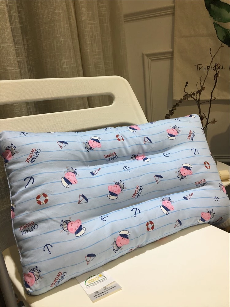 New cotton dinosaur Ins small fresh cartoon 60S long-staple cotton washable children's pillow core infant baby pillow